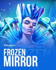 Frozen Mirror