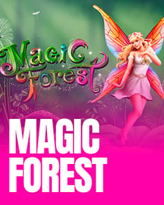 Magic Forest