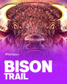 Bison Trail