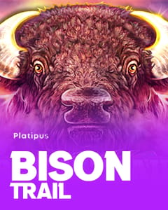 Bison Trail