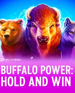 Buffalo Power: Hold and Win