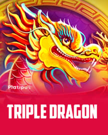 Triple Dragon